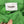 Load image into Gallery viewer, NANUSHKA CHINO PANTS
